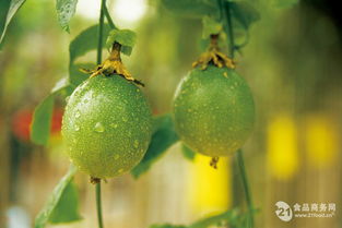 價格 產(chǎn)品報價