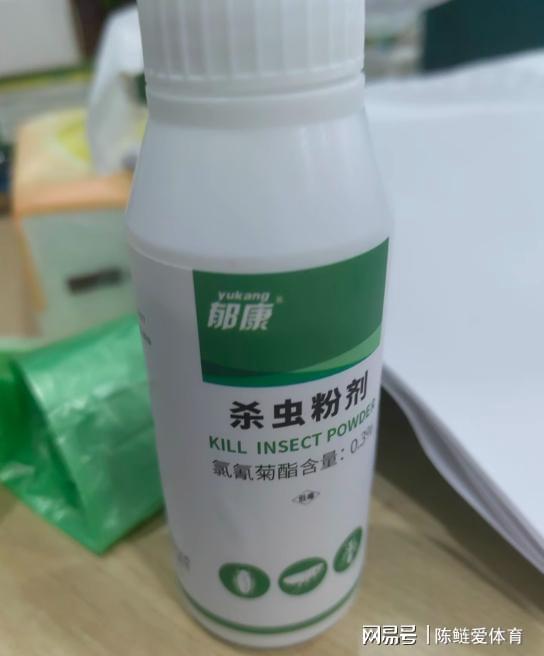 家里有潮蟲(chóng)怎么辦？植物提取物助你徹底清除