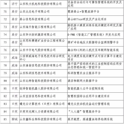 日照5家企業入選省級重點項目名單，引領網絡與信息安全軟件開發新浪潮